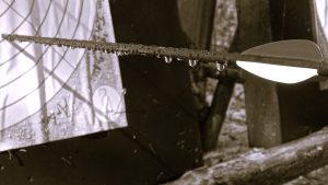 Impressionen TTB Präsenzmodule - Coach TraumaTherapeutisches Bogenschießen